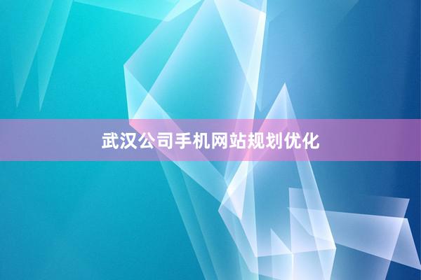武汉公司手机网站规划优化