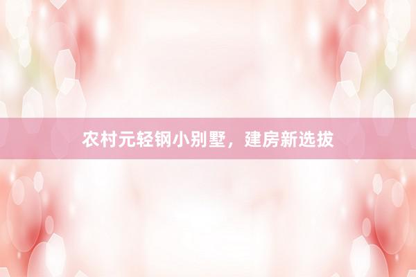 农村元轻钢小别墅，建房新选拔
