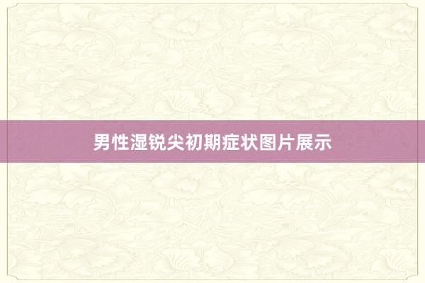男性湿锐尖初期症状图片展示