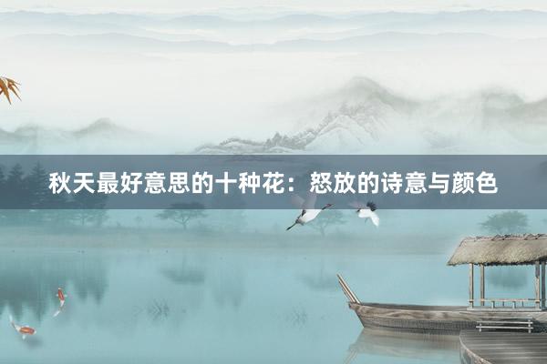 秋天最好意思的十种花：怒放的诗意与颜色