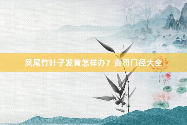 凤尾竹叶子发黄怎样办？责罚门径大全