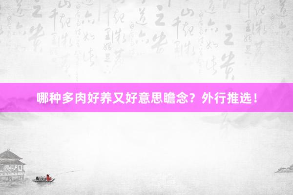 哪种多肉好养又好意思瞻念？外行推选！