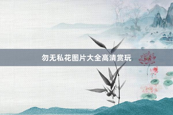 勿无私花图片大全高清赏玩