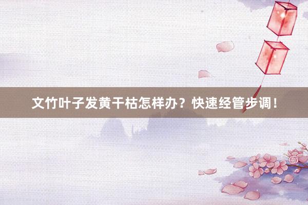 文竹叶子发黄干枯怎样办？快速经管步调！